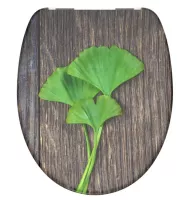 Schütte WC sedadlo GINGKO und WOOD | Duroplast, Soft Close